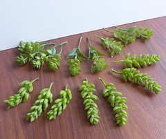 Set of 14 Artificial Succulents Grass Miniature Plants Wedding Decoration