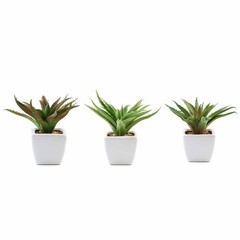 3 Green 5″ tall Mini Assorted Faux Aloe Succulent Plants White Ceramic Pots Home