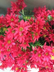 Artificial Plastic Fabric Red Colour Flowers With Green Leaves