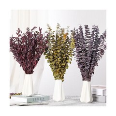 20 Pcs Dried Eucalyptus Stems, 17” Natural Real Live Purple Eucalyptus Leave…