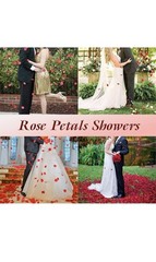 Fake Rose Pedals 3000 pcs Excellent Deal