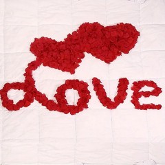 Valentines Day Red Rose Petals Pack of 120 Table Decoration