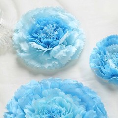 24 pack 7″ 9″ 11″ Aqua Blue Tissue Paper Carnation Flowers Home Backdrop