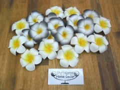 Bali Frangipani Neoprene/Foam Flowers x 20(white/black) Wedding,Decoration x 7cm