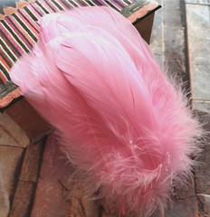 Pink Goose Feathers 6-8″ 12 Pc Wedding Millinery Crafts Decoration