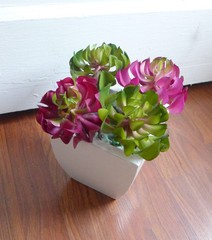 Artificial Plastic Grass 4 Sleep lotus Succulents Mini Plants Garden Landscape