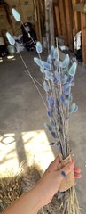 Dried Floral Bundle