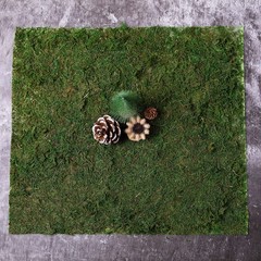 18″ x 16″ Green Natural Preserved Moss Sheet Party Wedding Crafts Decorations