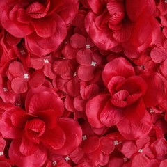 8 Red Roses and Hydrangea Flowers Mat Wall Backdrop Panels Wedding Decorations