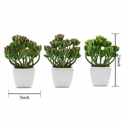 Green 3 Assorted 7″ Faux Jelly Bean Succulent Plants Off White Pots Sale