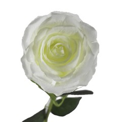 Long Stem Rose Flower Fake Wedding Centerpieces Bridal Bouquet Arrangement WHITE