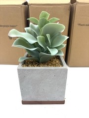 Seirai Living Co. Green (Qty 3), 8″ Artificial Faux Succulent Plants Pots, NIB