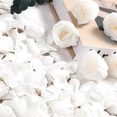 Natural Dried Rose Petals Romantic Weddings Decor Events Crafts Celebrations New