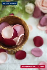 Floroom 300pcs Rose Petals Burgundy Maroon Faux Silk Flower Petals for Wedding F