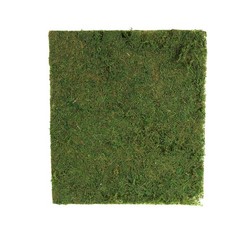 GREEN 18″ x 16″ Natural Preserved Moss Sheet Wedding Party Crafts Decorations