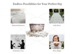 Natural White Rose Petals 8.11oz – Dried Flower Confetti for Weddings, Parties &