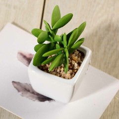 Green 3 Assorted 3″ Faux Small Succulent Plants Pots Wedding Centerpieces