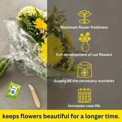 Clear Flower Food Packets for Flower Arrangements & Bouquets – (5g – 100 Ct)