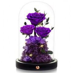 Agrul Birthday Gifts for Women Forever Preserved Flowers one size, Purple