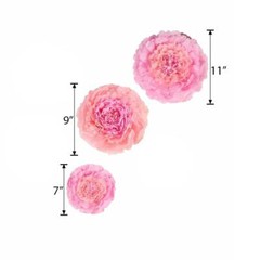 6 pack 7″ 9″ 11″ Blush and Pink Tissue Paper Carnation Flowers Backdrop