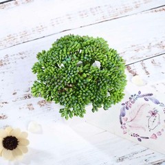 Burgundy Dark and Light Green 6″ Faux Sedum Succulent Plants Off White Pots
