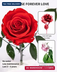 Flowers for Delivery Prime, Preserved Roses Flower Gifts for Women, Real Roses S