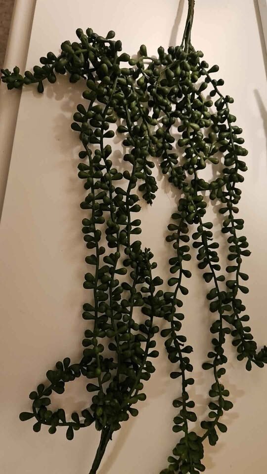 Mother of Pearl Garland 12 pieces 24 inch long