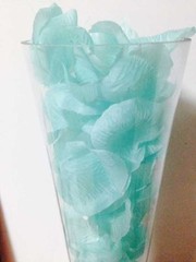 300 pcs Mint Silk Petals/Aqua Fabric Petals/Wedding Petals/ Vases Fillers (USA)