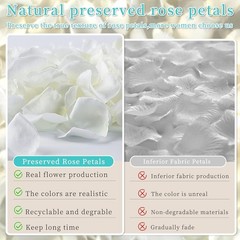 Real Dried , Frozen Preserved Petals for, Wedding Party Decorations, Confett…