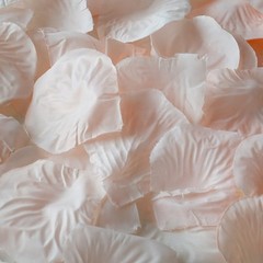 2000 Blush Silk Rose PETALS Wedding Party Decorations Supplies WHOLESALE SALE