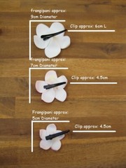 Frangipani Hairclips – colours & white – S – L
