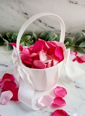 Hot Pink Rose Petals Barbiecore Wedding Decor Will You Marry Me Petal Patrol Box