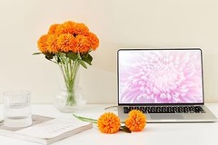 12 Pcs Artificial Chrysanthemums Flowers Ball Flower Fake Mums Silk for Orange
