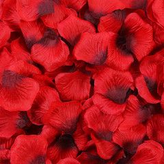 Artificial Petals 1000 PCS Dark-Red Silk Rose Petals for Romantic Night,Wedding,