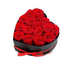 Qutawua Preserved Roses Heart Shape Box Valentines Day Gifts 16 Roses, Red