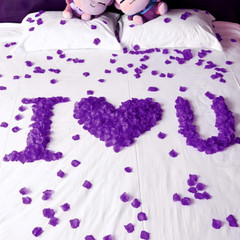 2000 PCS Artificial Silk Rose Petals for Wedding Party Favors Decoration and Vas