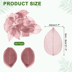 100Pcs Dark Pink Skeleton Leaves 2″- 3″ Rubber Tree Scrapbooking