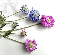 Scabiosa Stem Blue Flowers Faux Silk Scabiosas Purple Wild Flowers Rustic Stems