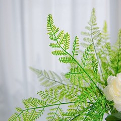 2 Green 19″ Faux Asparagus Fern Artificial Leaves Greenery Stems Party Supplies