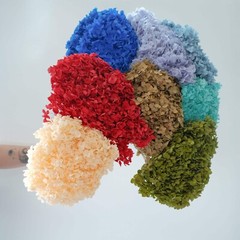 Preserved Annabelle Hydrangea Premium Natural Dried Flower Wedding Bouquet Decor