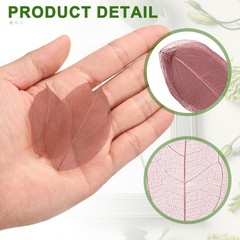 100Pcs Dark Pink Skeleton Leaves 2″- 3″ Rubber Tree Scrapbooking