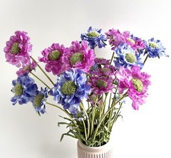 Scabiosa Stem Blue Flowers Faux Silk Scabiosas Purple Wild Flowers Rustic Stems