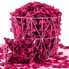 1000 Lifelike Fuchsia Silk Rose Petals – Decoration for All Occasions
