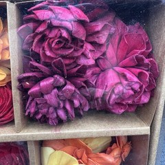 Sola Wood Flowers Boxed Orange Yellow Red Wedding Fall Décor Arrangements Fall