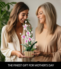 Icons Orchid Flowers Building Set, Exquisite Orchid Bonsai for Adult- Compatible