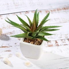 Green 3 Assorted 5″ Faux Realistic Aloe Succulent Plants Off White Pots
