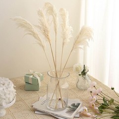 6 WHITE 32″ Natural Pampas Grass SPRAYS Dried Plant STEMS Party Home Decorations
