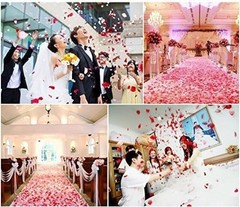 1000 Lifelike Fuchsia Silk Rose Petals – Decoration for All Occasions