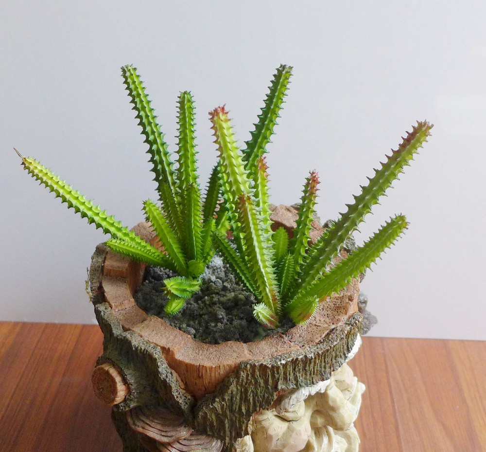 2 Pcs Artificial Small Cactus Column Plants Succulents Grass