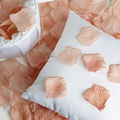 4000 Dusty Rose Silk Rose PETALS Wedding Party Decorations Supplies WHOLESALE